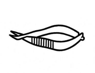 【眼科診療室の定番】ボープル氏睫毛鑷子を比較｜主要3社まとめ