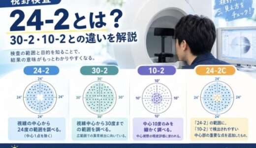 視野検査24-2とは？30-2・10-2との違いを解説