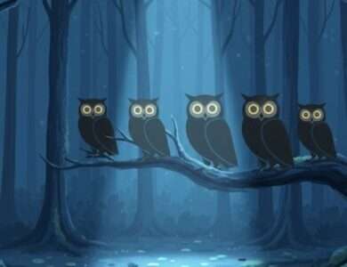 下のソーシャルリンクからフォロー